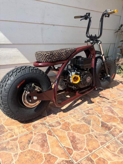 Coleman Pro Mini Bike